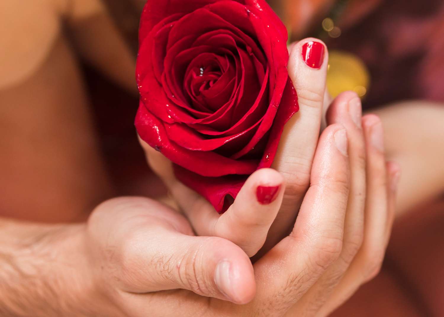 Escort Herren Stimmungsbild von haut-nah.org, Hände mit Rose