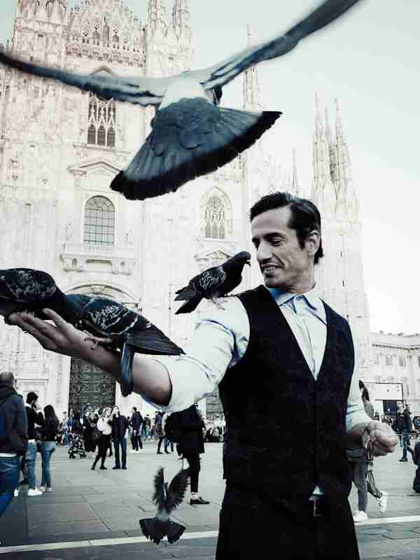 Escort Mann Cesar von haut-nah.org mit Tauben auf dem San Marco Platz